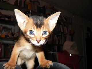 P1090989.JPG (12588 Byte)