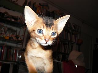 P1090995.JPG (11539 Byte)