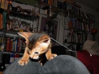 P1090997.JPG (15506 Byte)