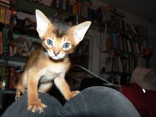 P1090999.JPG (13965 Byte)