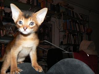 P1100003.JPG (12919 Byte)