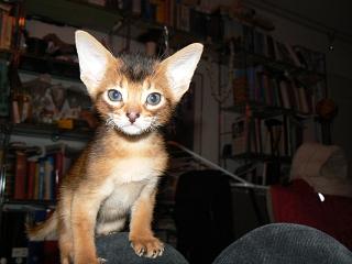 P1100004.JPG (12964 Byte)