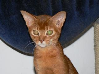 P1100217.JPG (11814 Byte)