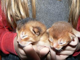 P1150320.JPG (18878 Byte)