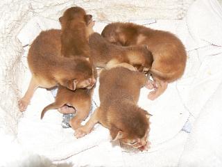 P1150335.JPG (12719 Byte)