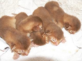 P1150338.JPG (13378 Byte)