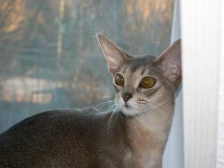 P1150368.JPG (9779 Byte)