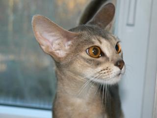 P1150369.JPG (9250 Byte)