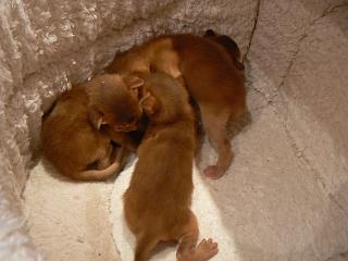 P1150417.JPG (12801 Byte)