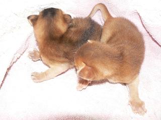 P1150425.JPG (11489 Byte)