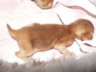 P1150436.JPG (9839 Byte)