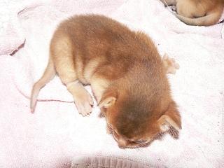 P1150437.JPG (12520 Byte)