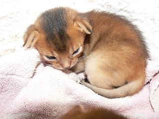 P1150439.JPG (15544 Byte)