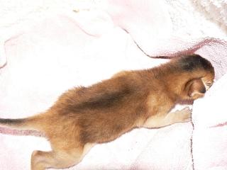 P1150447.JPG (10079 Byte)