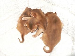 P1150452.JPG (9131 Byte)