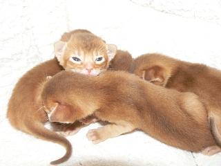 P1150454.JPG (10646 Byte)