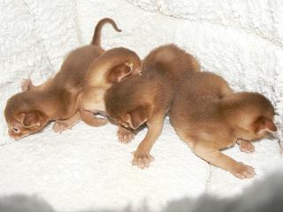 P1150455.JPG (12462 Byte)