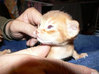 P1150457.JPG (13676 Byte)