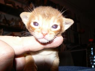 P1150461.JPG (12278 Byte)