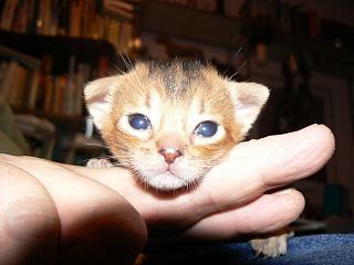 P1150468.JPG (13048 Byte)