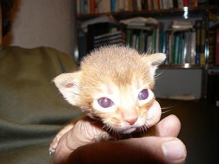 P1150471.JPG (12426 Byte)