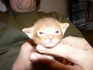 P1150472.JPG (12737 Byte)