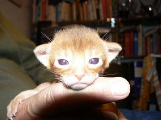 P1150474.JPG (12630 Byte)