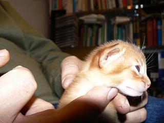 P1150479.JPG (12476 Byte)