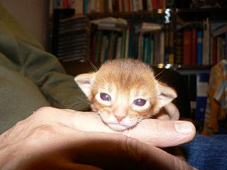 P1150480.JPG (12976 Byte)