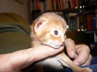 P1150484.JPG (13272 Byte)