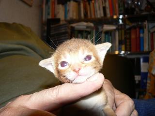 P1150485.JPG (12494 Byte)