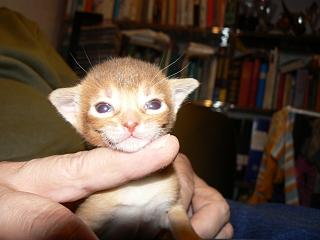 P1150486.JPG (12524 Byte)