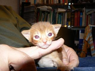 P1150489.JPG (14002 Byte)