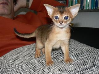 P1150638.JPG (19005 Byte)