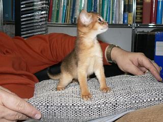 P1150644.JPG (20763 Byte)