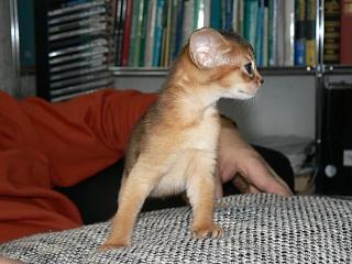 P1150645.JPG (16641 Byte)