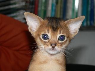 P1150648.JPG (10800 Byte)