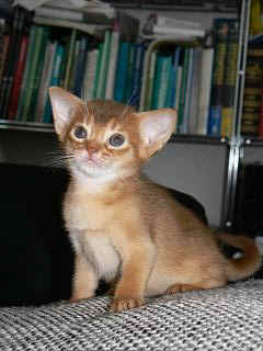 P1150671.JPG (15776 Byte)