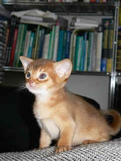 P1150672.JPG (14775 Byte)