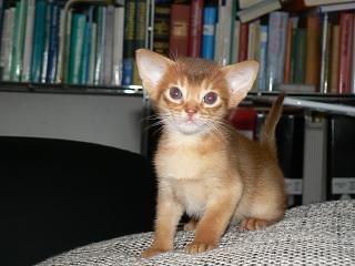 P1150677.JPG (14608 Byte)