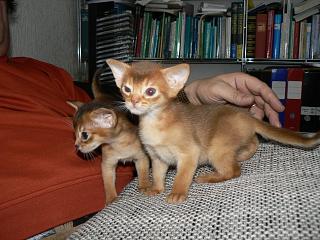 P1150689.JPG (19516 Byte)