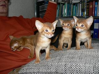 P1150692.JPG (20683 Byte)