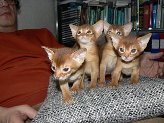 P1150695.JPG (20212 Byte)