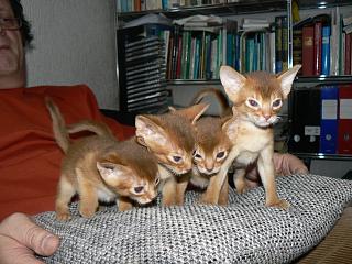 P1150697.JPG (21008 Byte)