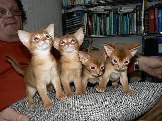 P1150698.JPG (20326 Byte)