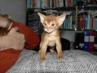 P1150703.JPG (17715 Byte)