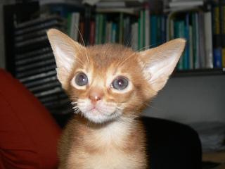 P1150706.JPG (10975 Byte)