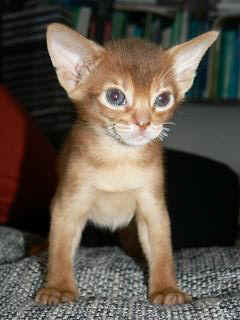 P1150708.JPG (13614 Byte)