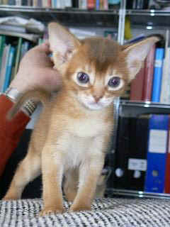 P1150715.JPG (15558 Byte)