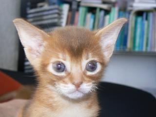 P1150718.JPG (10924 Byte)